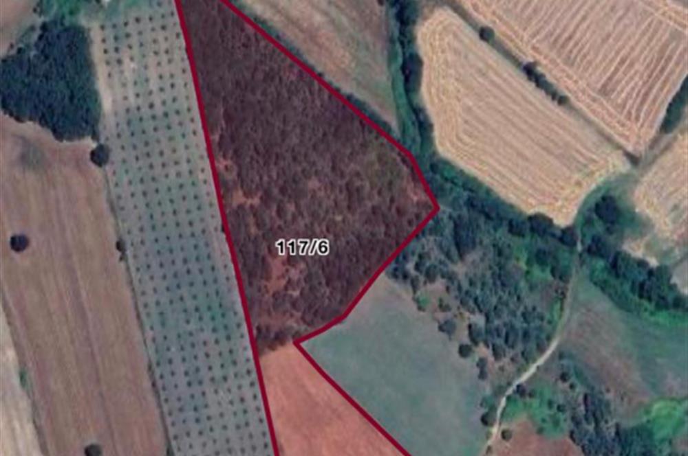 ÇANAKKALE BİGA PEKMEZLİ KÖYÜ ÇATALTEPE MEVKİ SATILIK TARLA