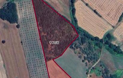 ÇANAKKALE BİGA PEKMEZLİ KÖYÜ ÇATALTEPE MEVKİ SATILIK TARLA