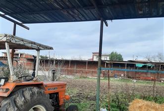 CENTURY 21 BAL GAYRİMENKUL'DEN BALIKLI KÖYÜ İÇERİSİNDE KÖY EVİ VE AÇIK SİSTEM BÜYÜKBAŞ HAYVAN DAMI - 1 - 31867