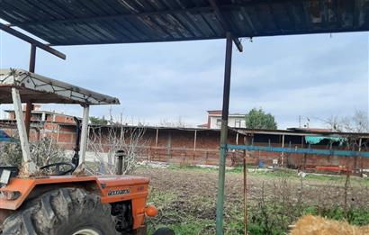 CENTURY 21 BAL GAYRİMENKUL'DEN BALIKLI KÖYÜ İÇERİSİNDE KÖY EVİ VE AÇIK SİSTEM BÜYÜKBAŞ HAYVAN DAMI