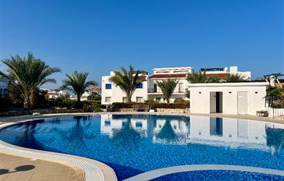 Carrington Sea Magic Park Lüks Konut Projesi 