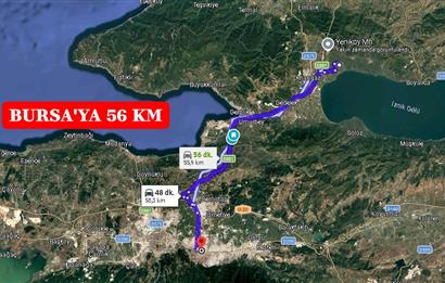 BURSA ORHANGAZİ YENİKÖY MH'DE SATILIK 7.287 m² ZEYTİNLİK TARLA