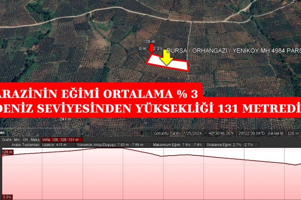 BURSA ORHANGAZİ YENİKÖY MH'DE SATILIK 7.287 m² ZEYTİNLİK TARLA