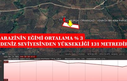 BURSA ORHANGAZİ YENİKÖY MH'DE SATILIK 7.287 m² ZEYTİNLİK TARLA