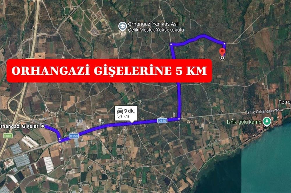 BURSA ORHANGAZİ YENİKÖY MH'DE SATILIK 7.287 m² ZEYTİNLİK TARLA