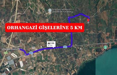 BURSA ORHANGAZİ YENİKÖY MH'DE SATILIK 7.287 m² ZEYTİNLİK TARLA