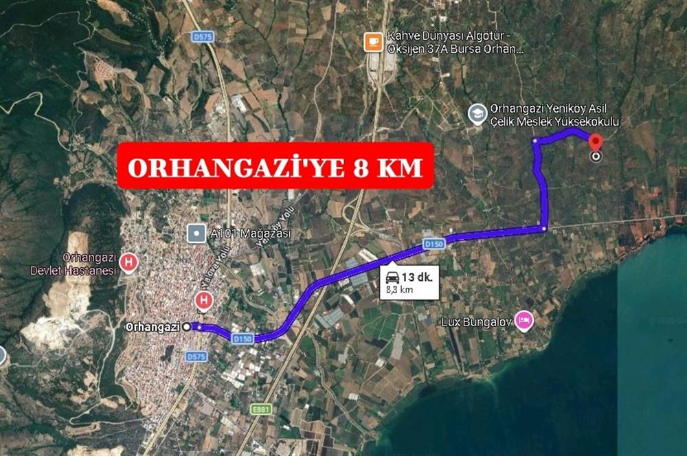 BURSA ORHANGAZİ YENİKÖY MH'DE SATILIK 7.287 m² ZEYTİNLİK TARLA