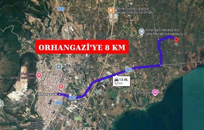 BURSA ORHANGAZİ YENİKÖY MH'DE SATILIK 7.287 m² ZEYTİNLİK TARLA