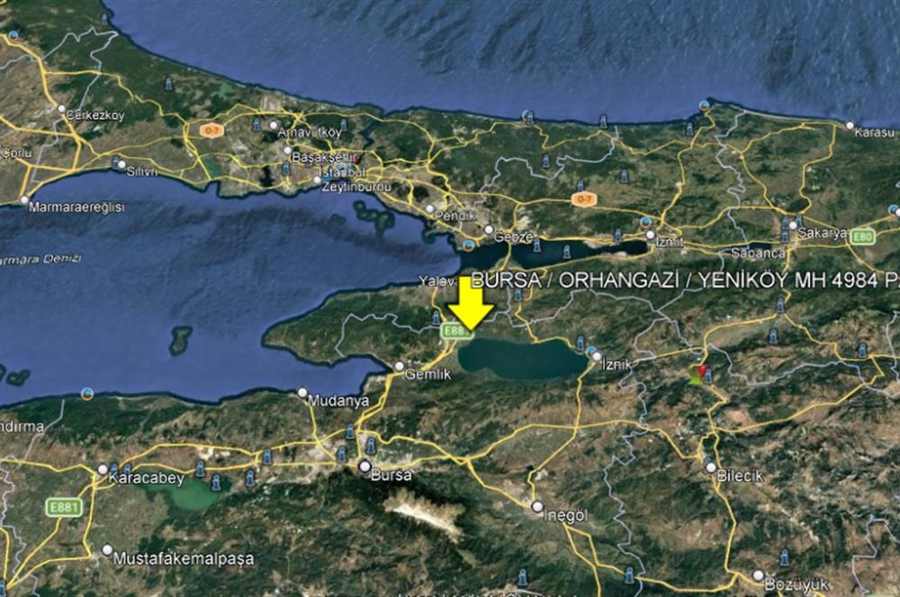 BURSA ORHANGAZİ YENİKÖY MH'DE SATILIK 7.287 m² ZEYTİNLİK TARLA