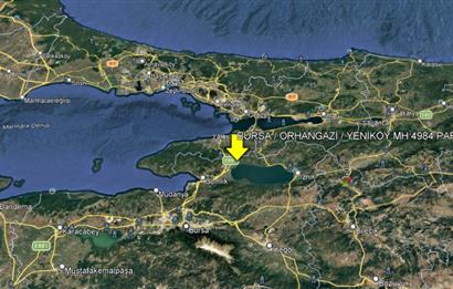 BURSA ORHANGAZİ YENİKÖY MH'DE SATILIK 7.287 m² ZEYTİNLİK TARLA