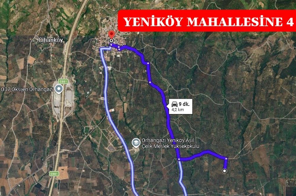 BURSA ORHANGAZİ YENİKÖY MH'DE SATILIK 7.287 m² ZEYTİNLİK TARLA