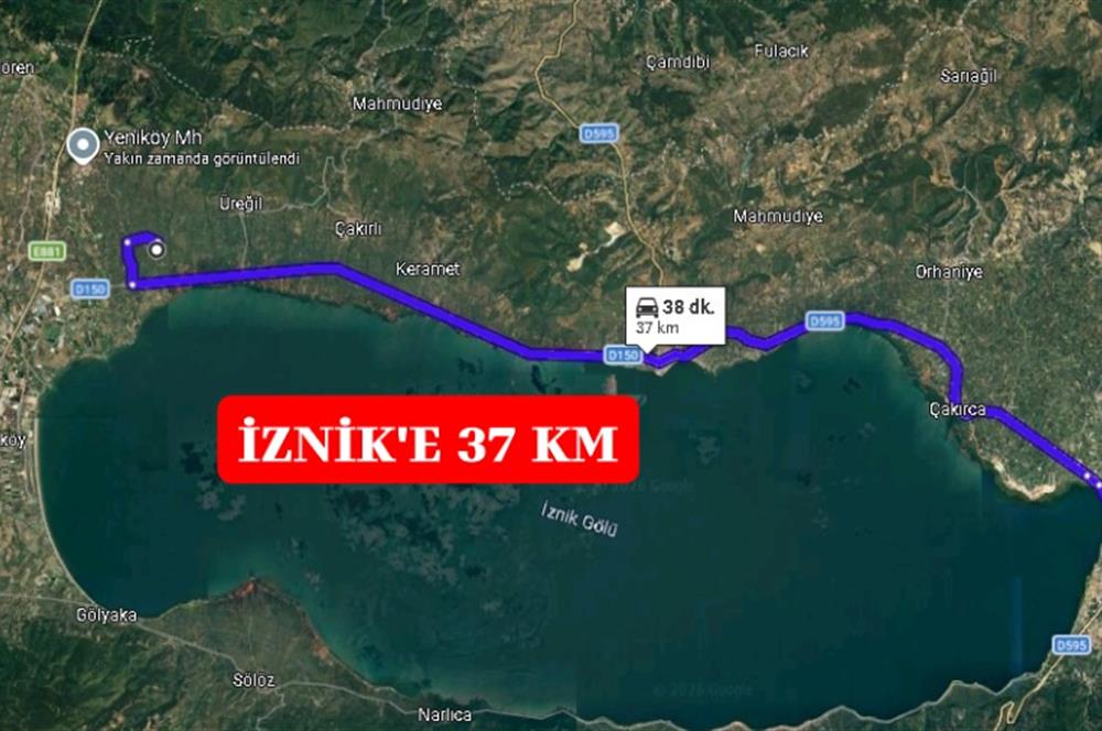 BURSA ORHANGAZİ YENİKÖY MH'DE SATILIK 7.287 m² ZEYTİNLİK TARLA