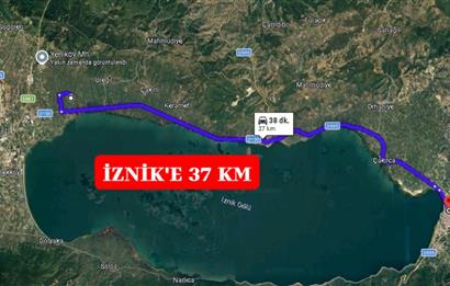 BURSA ORHANGAZİ YENİKÖY MH'DE SATILIK 7.287 m² ZEYTİNLİK TARLA