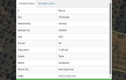 BURSA ORHANGAZİ YENİKÖY MH'DE SATILIK 7.287 m² ZEYTİNLİK TARLA