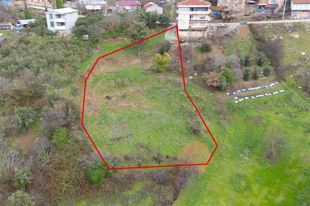 C21 Cius; Katırlı Köy İçi İmarlı 1321 m² Asfalta Cephe Arsa