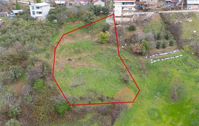 C21 Cius; Katırlı Köy İçi İmarlı 1321 m² Asfalta Cephe Arsa