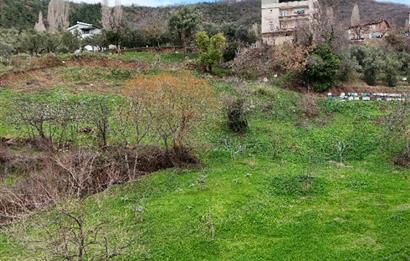 C21 Cius; Katırlı Köy İçi İmarlı 1321 m² Asfalta Cephe Arsa