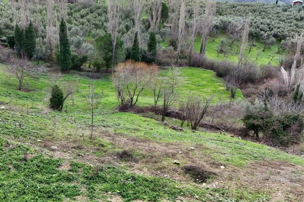 C21 Cius; Katırlı Köy İçi İmarlı 1321 m² Asfalta Cephe Arsa