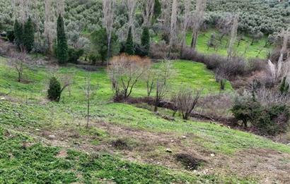 C21 Cius; Katırlı Köy İçi İmarlı 1321 m² Asfalta Cephe Arsa