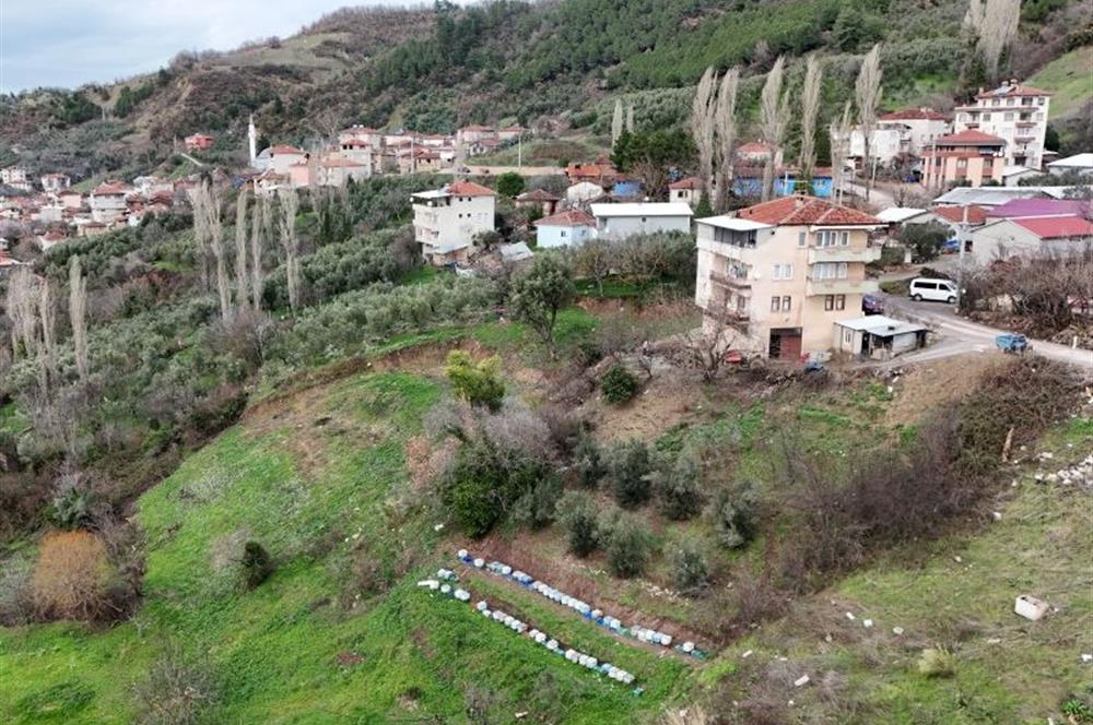 C21 Cius; Katırlı Köy İçi İmarlı 1321 m² Asfalta Cephe Arsa