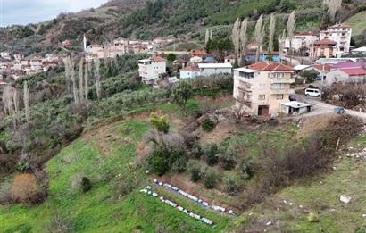 C21 Cius; Katırlı Köy İçi İmarlı 1321 m² Asfalta Cephe Arsa