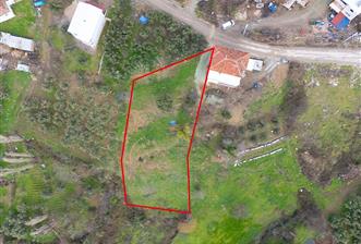 C21 Cius; Katırlı Köy İçi İmarlı 1321 m² Asfalta Cephe Arsa - 3 - 31971