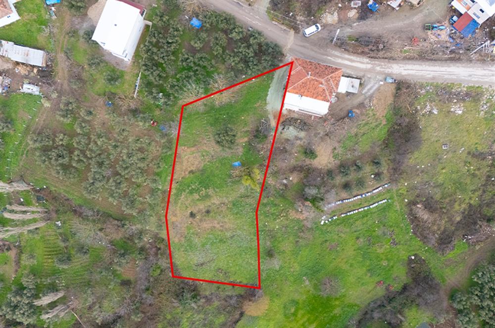 C21 Cius; Katırlı Köy İçi İmarlı 1321 m² Asfalta Cephe Arsa