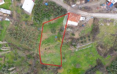 C21 Cius; Katırlı Köy İçi İmarlı 1321 m² Asfalta Cephe Arsa