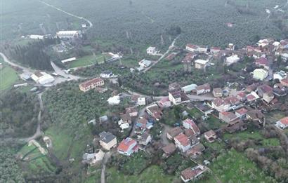 C21 Cius; 1.683 m2 Gemiç Köyüne 150 m yakınlıkta Zeytinlik