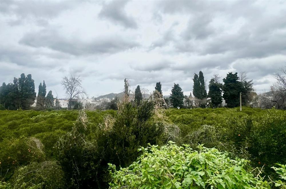 Fırsat Sosyal tesisli marinaya yürüme mesafesinde satılık daire