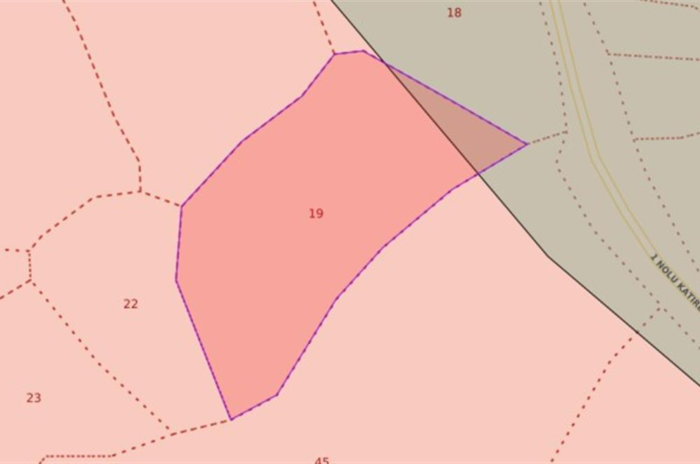 C21 Cius; Katırlı Köy İçi İmarlı 1321 m² Asfalta Cephe Arsa