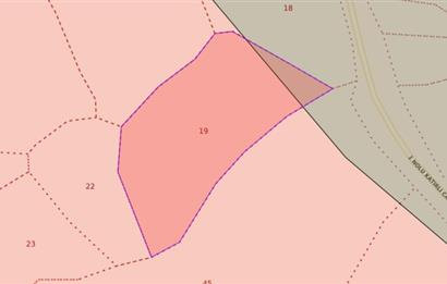 C21 Cius; Katırlı Köy İçi İmarlı 1321 m² Asfalta Cephe Arsa