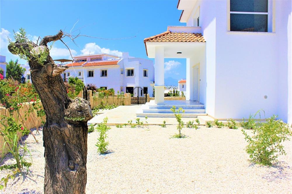 Carrington Sea Magic Villas Lüks Konut Projesi 