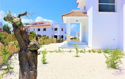 Carrington Sea Magic Villas Lüks Konut Projesi 