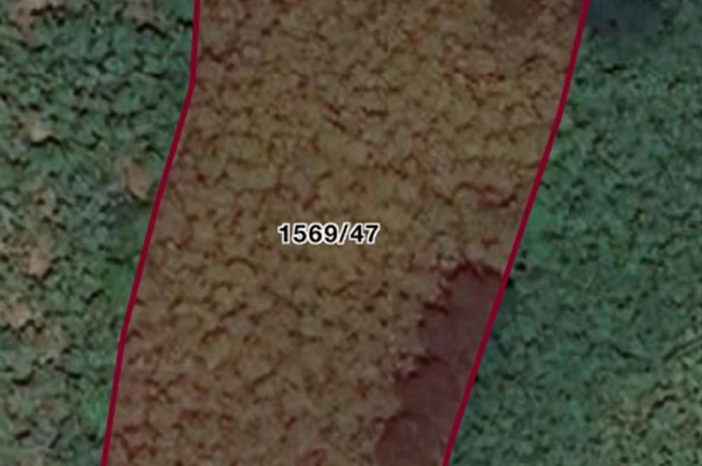 ORDU PERŞEMBE ÇERLİ’DE TURİZM İMARLI, YATIRIMA HAZIR 5.856 m² EMSALSİZ ARSA