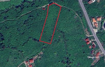 ORDU PERŞEMBE ÇERLİ’DE TURİZM İMARLI, YATIRIMA HAZIR 5.856 m² EMSALSİZ ARSA
