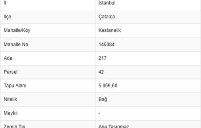 C21NEXAR-ÇATALCA KESTANELİKTE 5059 M2 TEK TAPU FIRSAT TARLA