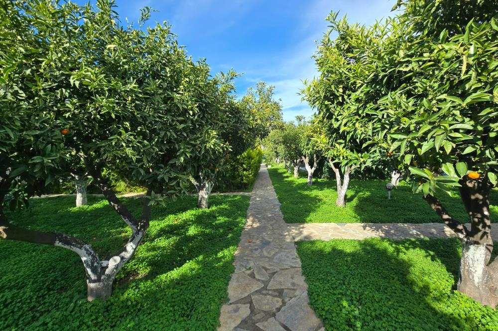 Bodrum Gümüşlük de Fırsat Satılık Dubleks Daire 