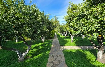 Bodrum Gümüşlük de Fırsat Satılık Dubleks Daire 