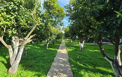 Bodrum Gümüşlük de Fırsat Satılık Dubleks Daire 