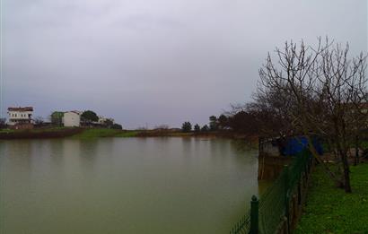 C21 PROJECT'DEN BAĞIRGANLIDA SATILIK YAZLIK