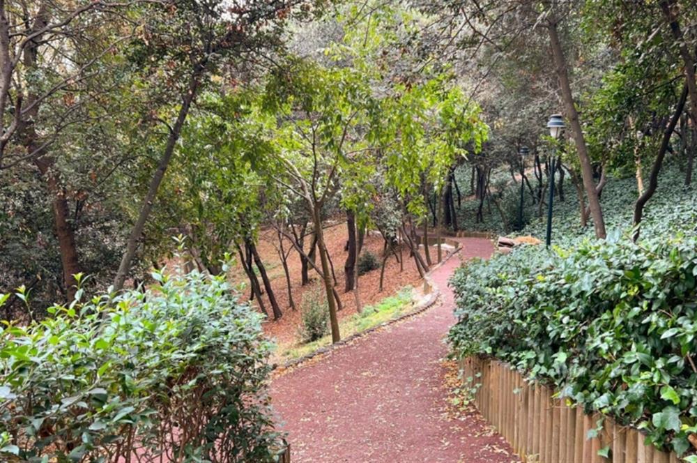 İcadiye’de Fıstıkağacı Metroya Yakın Krediye Uygun Satılık 3+1