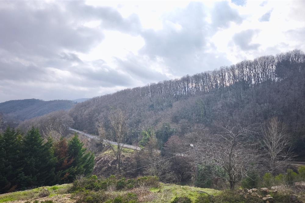 Beykoz Çavuşbaşı Yavuz Selim'de Villa İmarlı Projesi Hazır Satılık Arsa