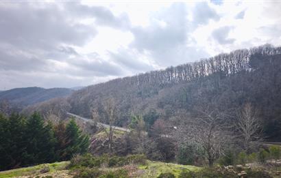 Beykoz Çavuşbaşı Yavuz Selim'de Villa İmarlı Projesi Hazır Satılık Arsa