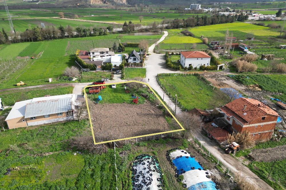 CENTURY21 BAL 'DAN  PAMUKÇU MAHALLESİNDE SATILIK ARSA  