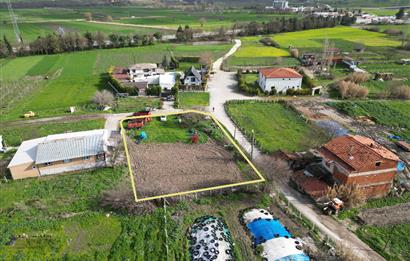 CENTURY21 BAL 'DAN  PAMUKÇU MAHALLESİNDE SATILIK ARSA  