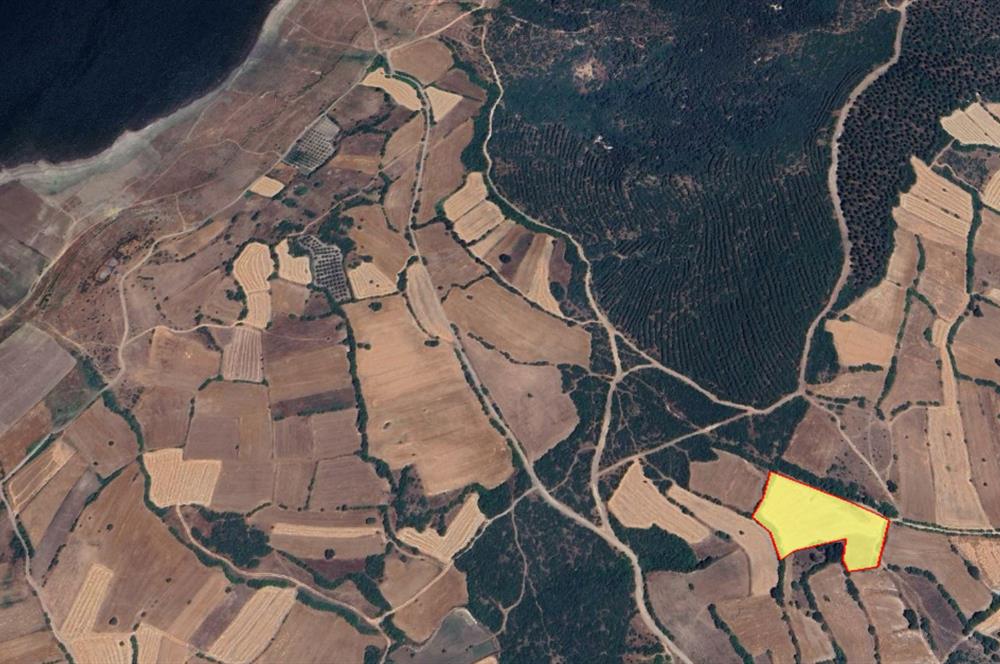 CENTURY21 BAL 'DAN  AKÇAKÖY MAHALLESİNDE SATILIK TARLA