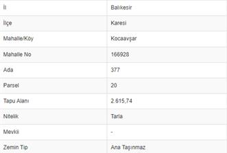 C21 BAL'DAN KOCAAVŞAR'DA GÖKÇEYAZI'YA YAKIN SATILIK TARLA - 1 - 32040