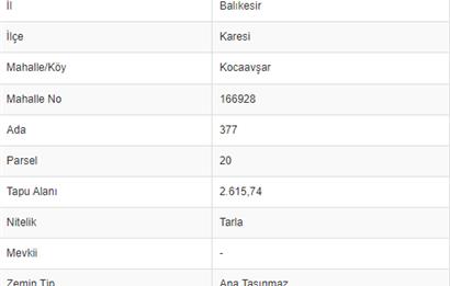 C21 BAL'DAN KOCAAVŞAR'DA GÖKÇEYAZI'YA YAKIN SATILIK TARLA