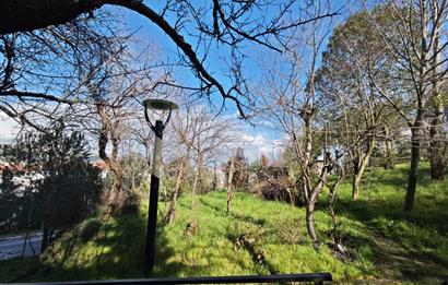 CENTRUY 21 BAL'DAN ADNAN MENDERES MAHALLESİ KİRALIK 2+1 DAİRE